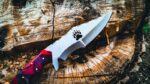 Fixed-Blade-Hunting-Knife-With-Lion-Claw.jpg